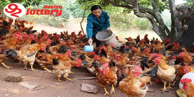 Thức Ăn Gà Đá – Chế Độ Dinh Dưỡng Giúp Gà Sung, Bo Lớn Nhanh 3 Các loại thức ăn gà đá phổ biến hiện nay